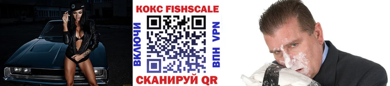 COCAIN Fish Scale  наркота  Чистополь 