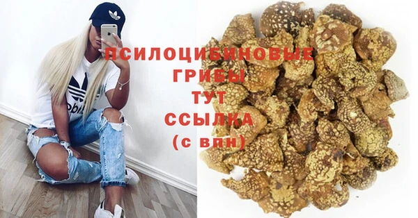 скорость Алзамай