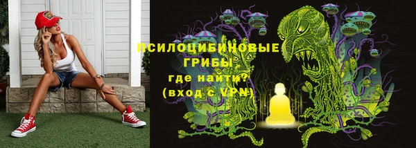 круглые Алексеевка