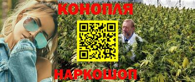 гидропоника Моздок